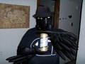 Ravens like beer