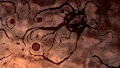 Tyranid Mural by Libra11