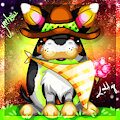 Hippocorgicado Cowboy