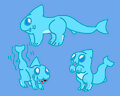 shark puppy