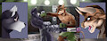 Fight Night