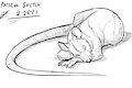 Sleepy rat by Lizet