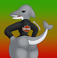 Loan Dolphin's Blessed Assurance
