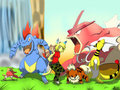 My Team