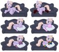 Stallions in Socks