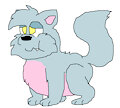 Fat kitto.