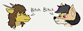 Bitches
