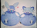 Blueberry Boys