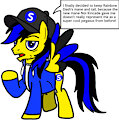 PonySeb 2.0 decision