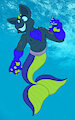 Commission - MerCobra