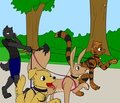 Joel's Dog Walking Business by Immelmann