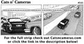 Cats n Cameras Strip 141 - Wait What?