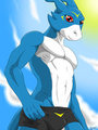 Beach Flamey
