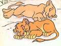 Cub Simba and Nala taking a nap