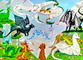 Here There Be Dragons