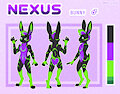 Nexus the bunny Refsheet