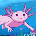 Axolotl