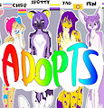 *PREORDERS AVAILABLE*-PRIDE PAWS