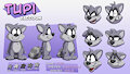 Reference Sheet - Tupi Raccoon