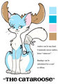 The Cataroose - Model Sheet