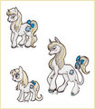 My Little Pony - Cecé