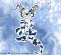 Crux Bubbles 