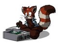 Red Panda Computer