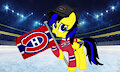 PonySeb 2.0 as a Montreal Canadiens fan