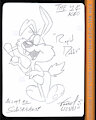 Rapid Rabbit