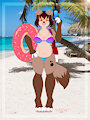 Let's go to the beach!