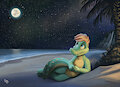Peaceful Night