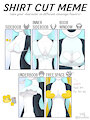 Xeria #shirtcutmeme