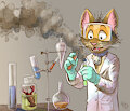 On the nitration of chitin by dahan