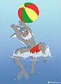 Raffle prize for Fluss_Vap