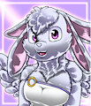 A very fluffy cuddly furry Sirocco.