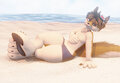 Jackal on the beach