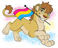 Pride In Your Colors