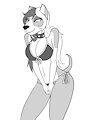 Nikki the Pit bull terrier by joykill