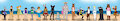 Bonnie&CO: Beach Girls line up