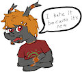 Brachi Hates It