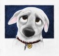 The Dog Face