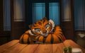 Tigress having a rest