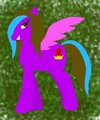 Amilia Pony
