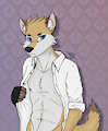 Commission for Rudy Wolf by RDLT
