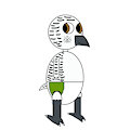 Eull the snowy owl