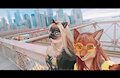 Brooklyn Bridge by LunaLeLoup