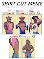 Shirt Cut Meme for Tiptoe [comm]