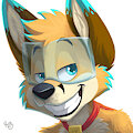 Forx Grin by pandapaco