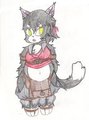 Chubby Kitty~
