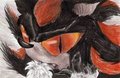 Come here, I won't bite! by no1shadow